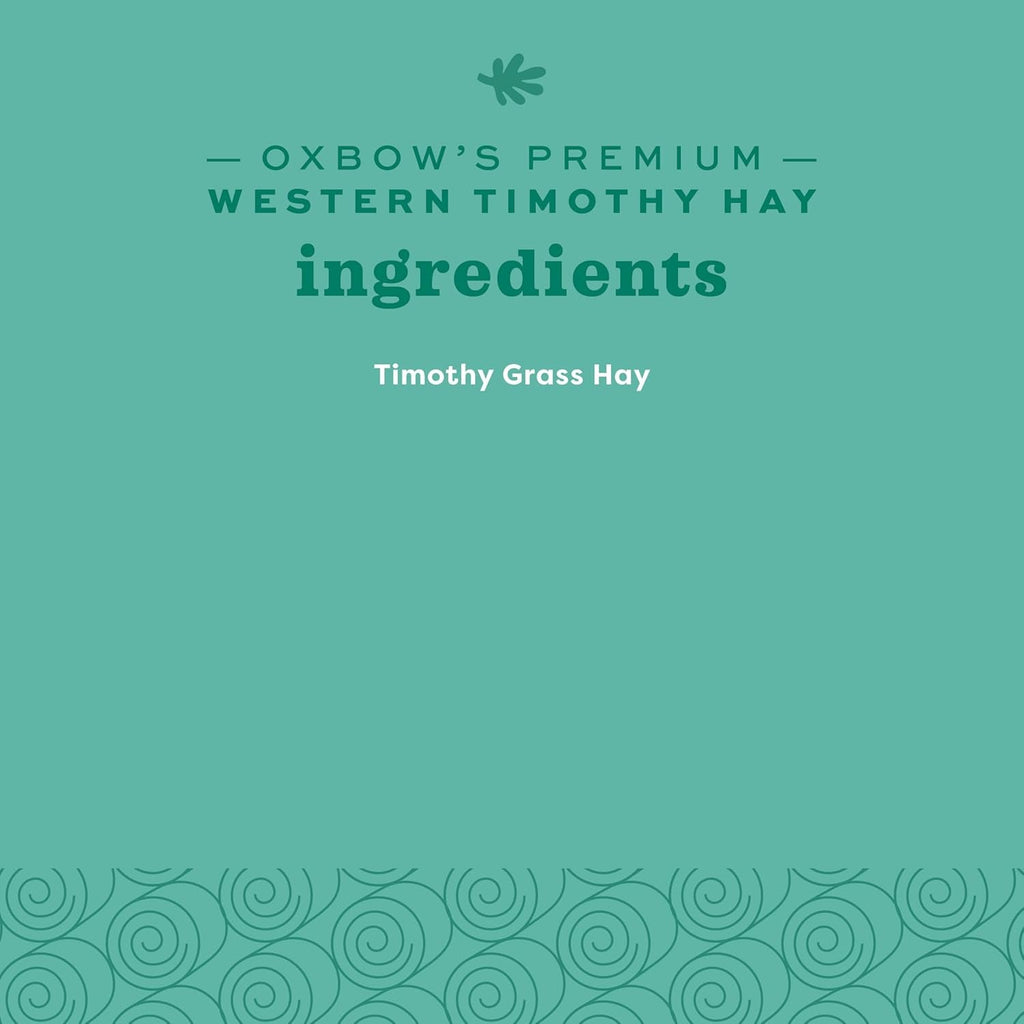 Animal Health Western Timothy Hay, Guinea Pig Hay, Small Pet Bunny Supplies, All Natural Grass for Guinea Pig, Bunny, Chinchilla & Hamster, Rabbit Supplies for Bunnies, 90 Oz. Bag - soblessed95.store