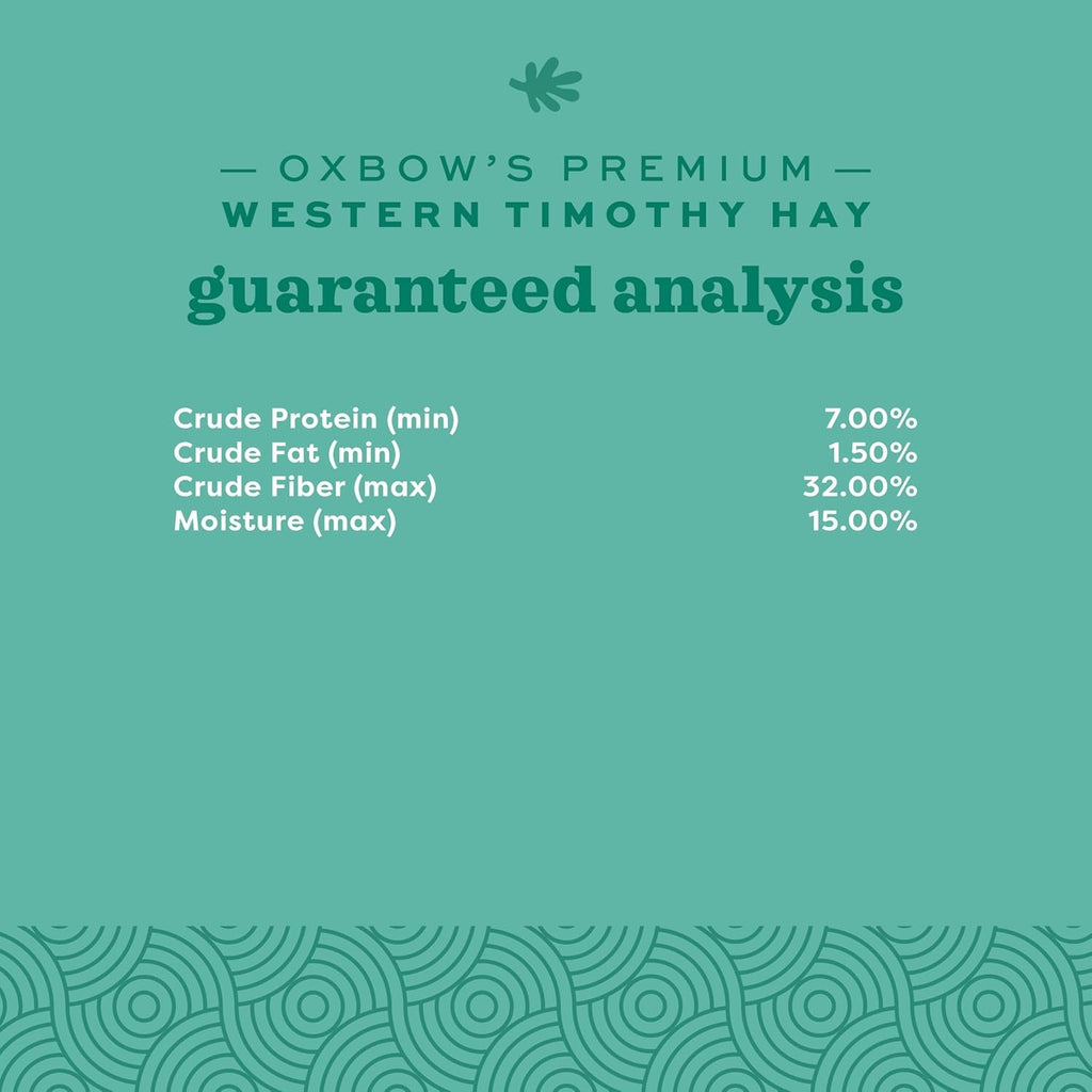 Animal Health Western Timothy Hay, Guinea Pig Hay, Small Pet Bunny Supplies, All Natural Grass for Guinea Pig, Bunny, Chinchilla & Hamster, Rabbit Supplies for Bunnies, 90 Oz. Bag - soblessed95.store