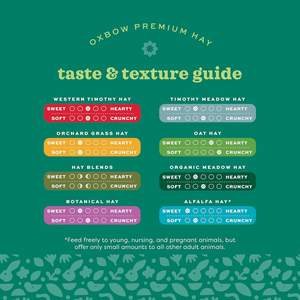 Animal Health Western Timothy Hay, Guinea Pig Hay, Small Pet Bunny Supplies, All Natural Grass for Guinea Pig, Bunny, Chinchilla & Hamster, Rabbit Supplies for Bunnies, 90 Oz. Bag - soblessed95.store