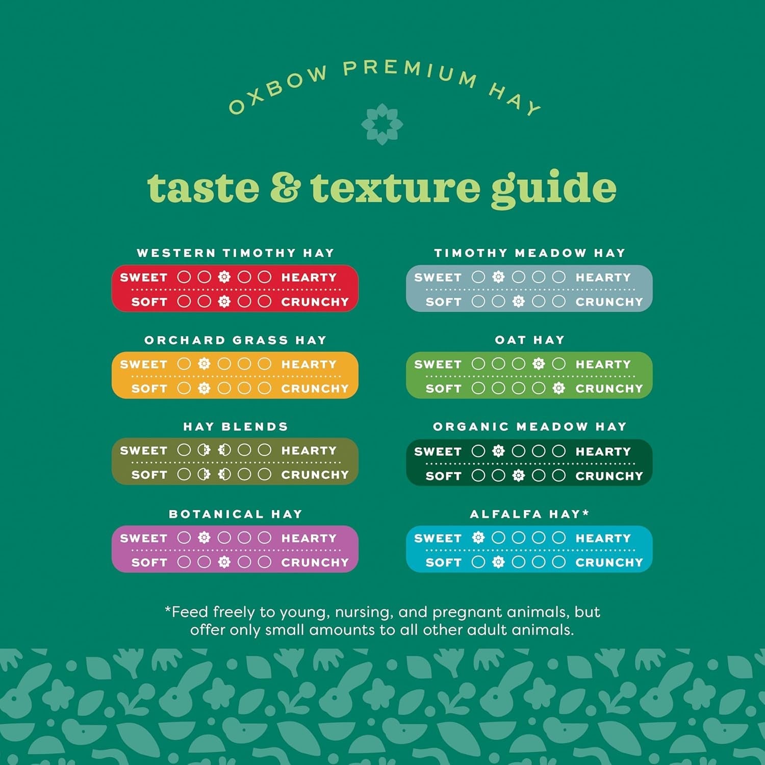 Animal Health Western Timothy Hay, Guinea Pig Hay, Small Pet Bunny Supplies, All Natural Grass for Guinea Pig, Bunny, Chinchilla & Hamster, Rabbit Supplies for Bunnies, 90 Oz. Bag - soblessed95.store