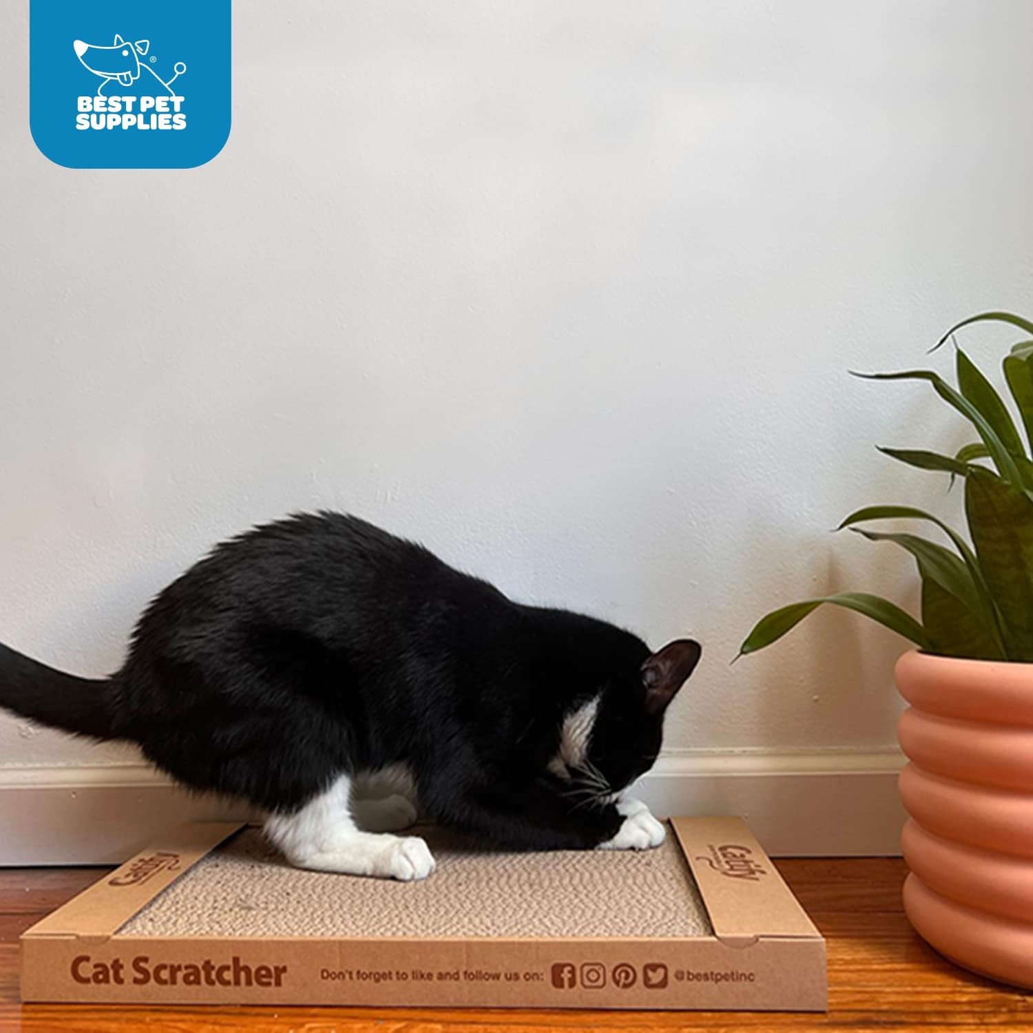 Catify Cat Scratcher Pad - Wide (3 Pack) - soblessed95.store