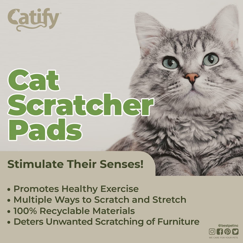 Catify Cat Scratcher Pad - Wide (3 Pack) - soblessed95.store