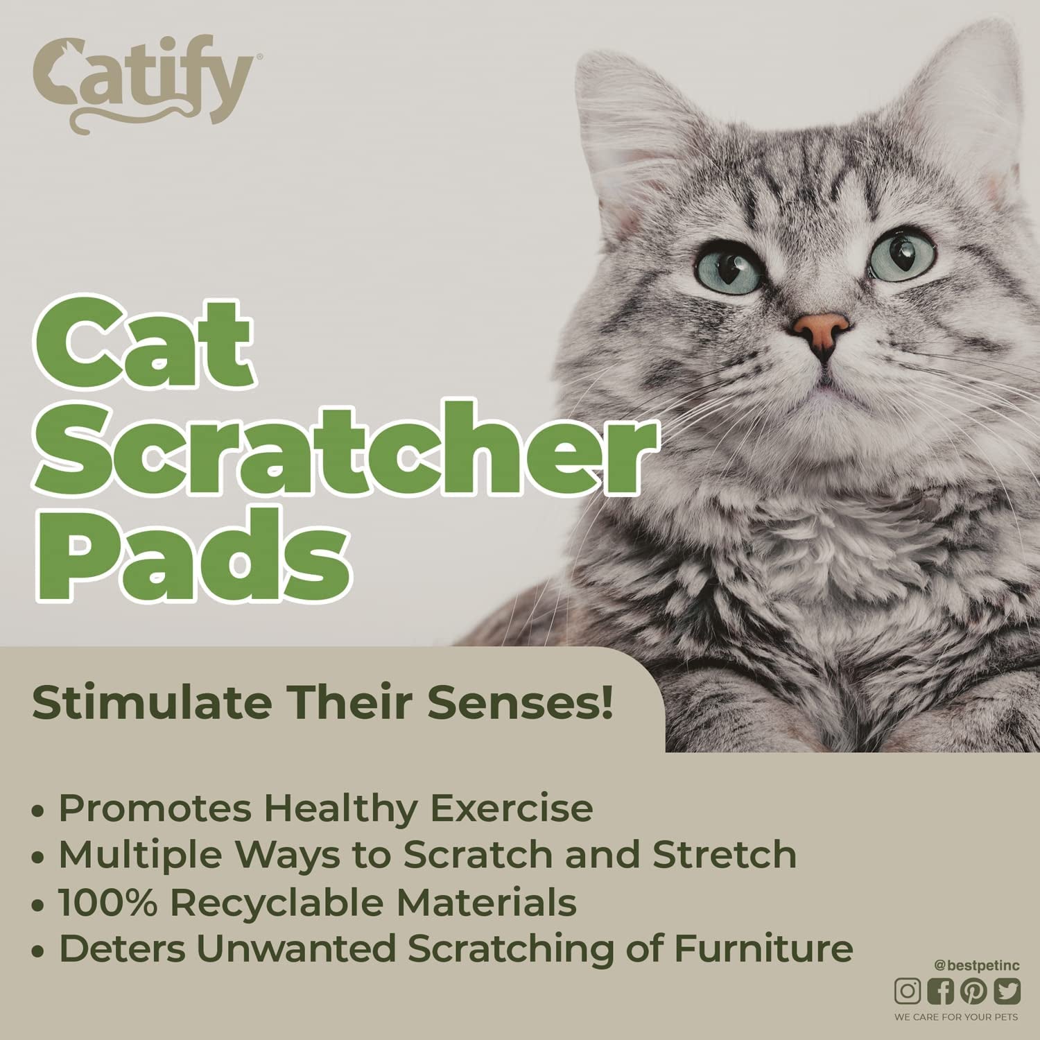 Catify Cat Scratcher Pad - Wide (3 Pack) - soblessed95.store