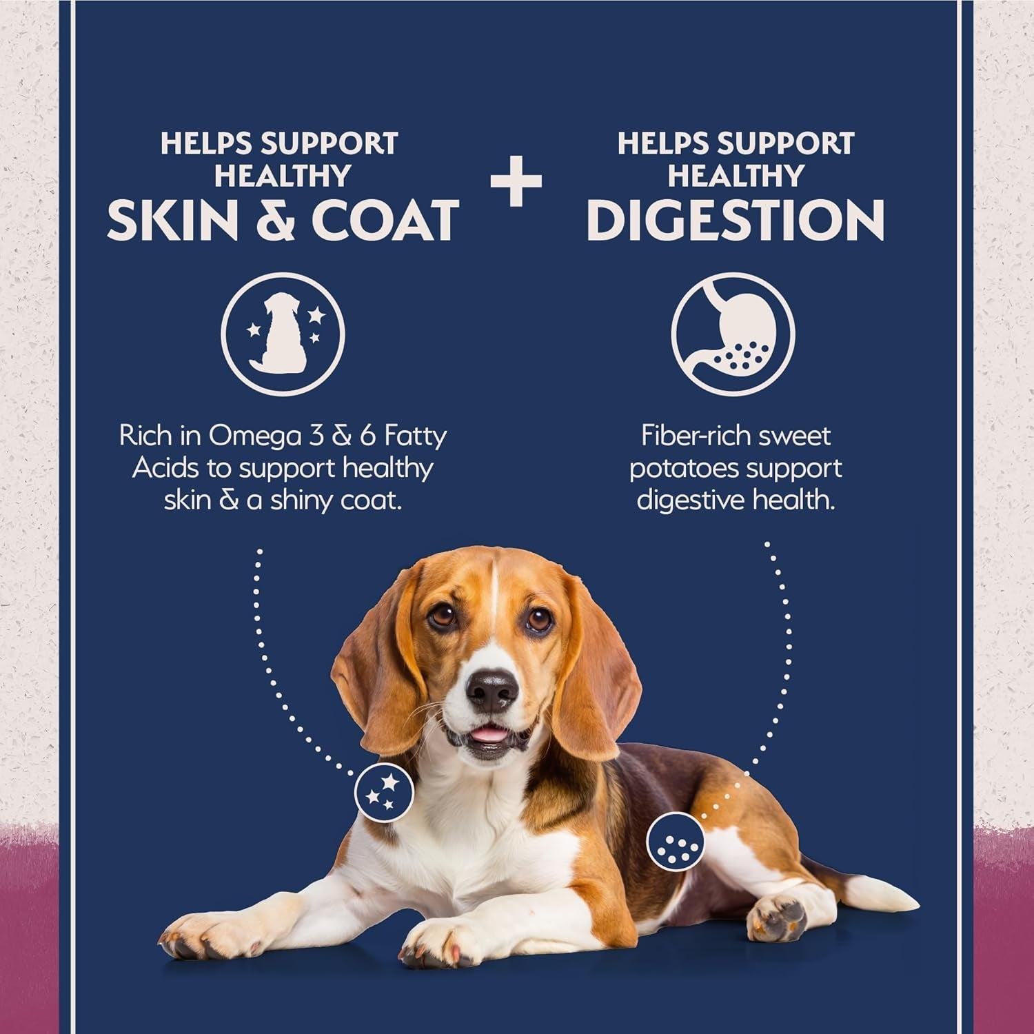 Limited Ingredient Adult Grain - Free Dry Dog Food, Reserve Sweet Potato & Venison Recipe, 4 Pound (Pack of 1) - soblessed95.store