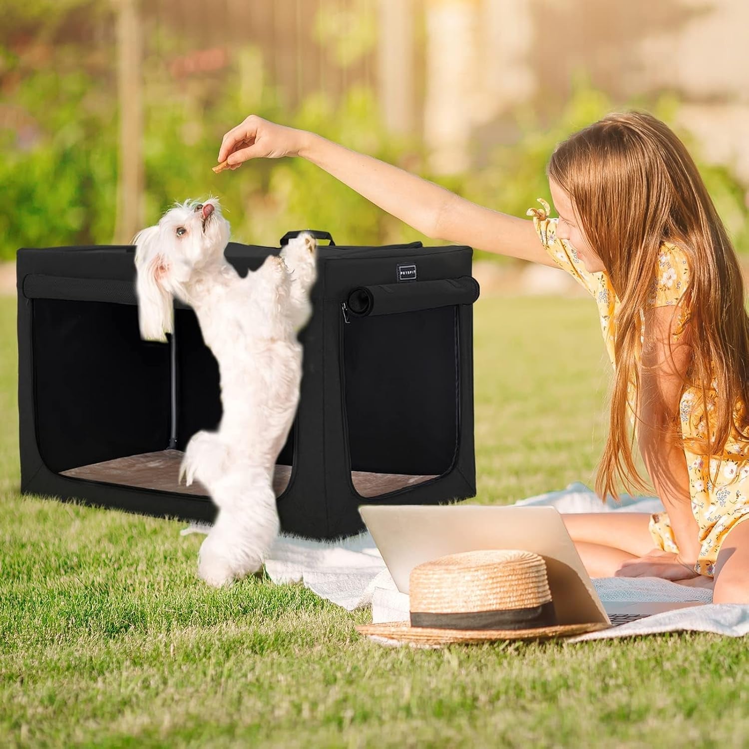 Portable Dog Crate, Soft Dog Crate - 24 Inch Easy Set - Up, Light, Sturdy, Comfy inside with Thicken Mat, Collapsible Crate for Home and Travel Black - soblessed95.store