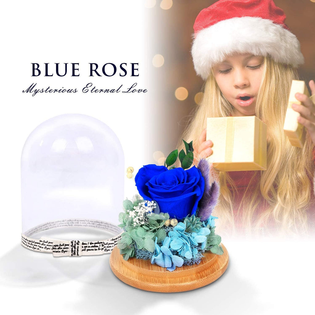 Preserved Flowers Rose for Women Mom Grandma Wife. Forever Eternal Blue Real Rose Gift Thanksgiving Christmas - soblessed95.store