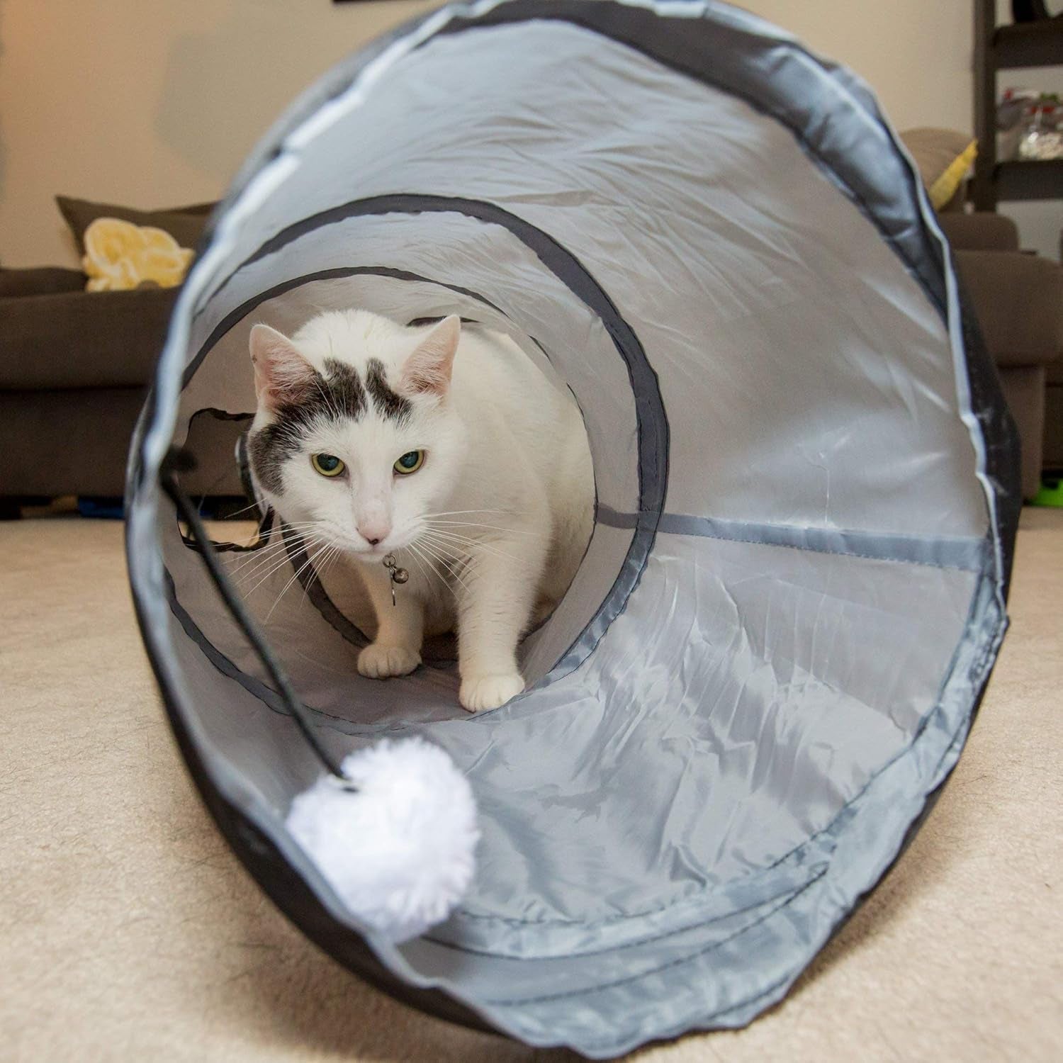 S Way Cat Tunnel Collapsible Pop - Up Pet Tube Hideaway Play Toy with Ball (S - Way, Grey) - soblessed95.store