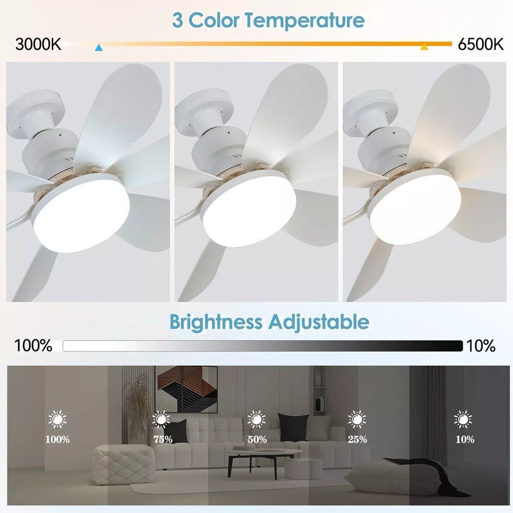 Socket Fan Light Ceiling Fans with Lights and Remote Dimmable LED Ceiling Fan US - soblessed95.store