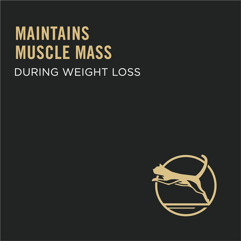 Weight Control Dry Cat Food, Chicken and Rice Formula - 7 Lb. Bag - soblessed95.store